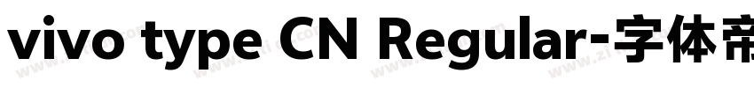 vivo type CN Regular字体转换